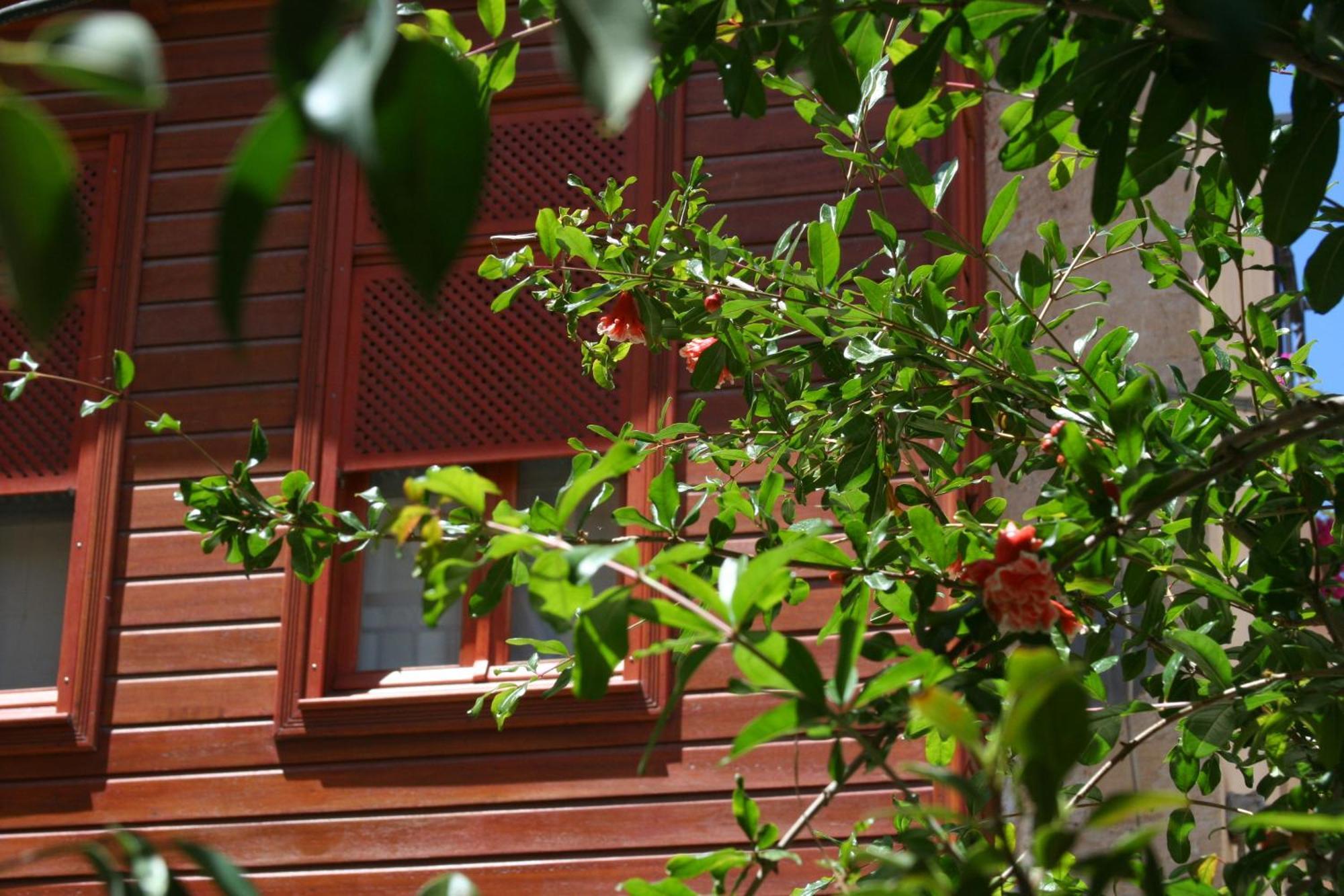Ionas Boutique Hotel Chania  Ngoại thất bức ảnh